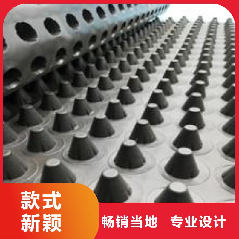 塑料排水板,復合土工膜多種場景適用