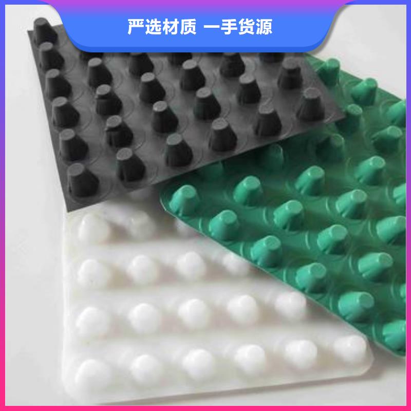 塑料排水板土工格柵實力派廠家