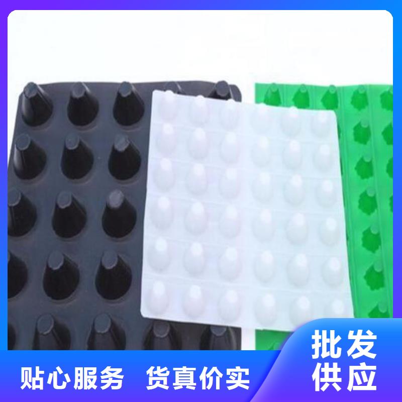 塑料排水板養殖膜信譽至上