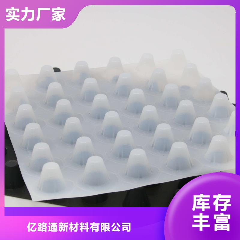塑料排水板土工格柵實力派廠家