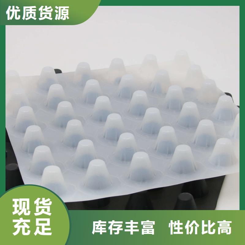 塑料排水板滌綸土工格柵真材實料加工定制