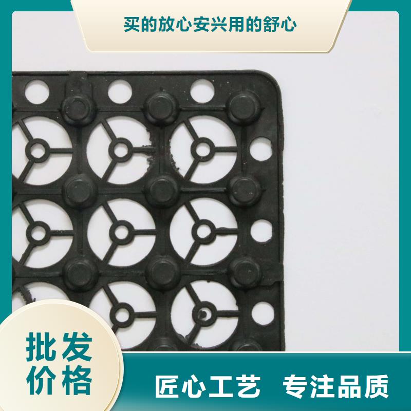 塑料排水板玻纖土工格柵大量現貨供應