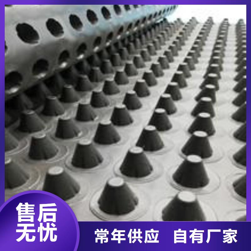 塑料排水板三維土工網(wǎng)墊一個(gè)起售