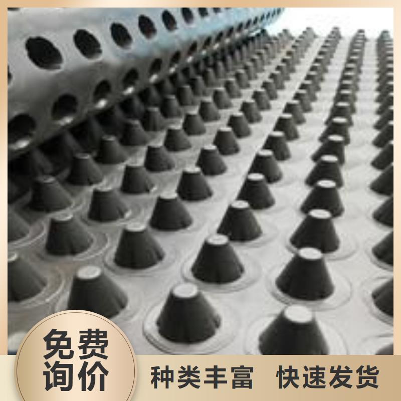 【塑料排水板土工格栅厂家货源】