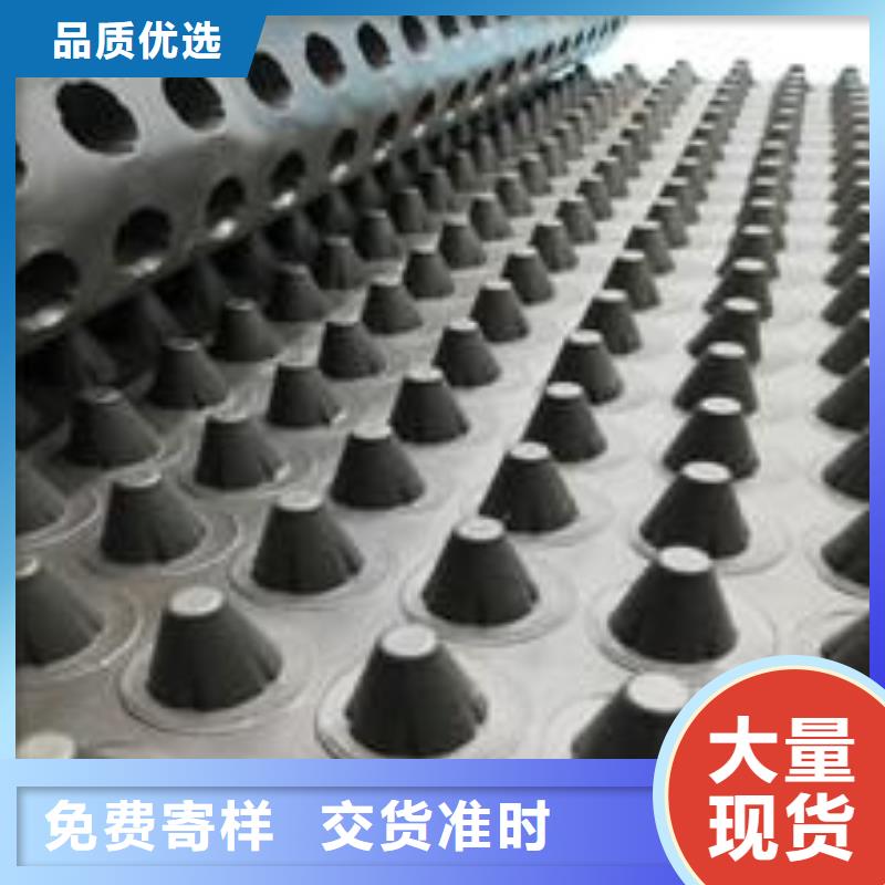 塑料排水板种类齐全