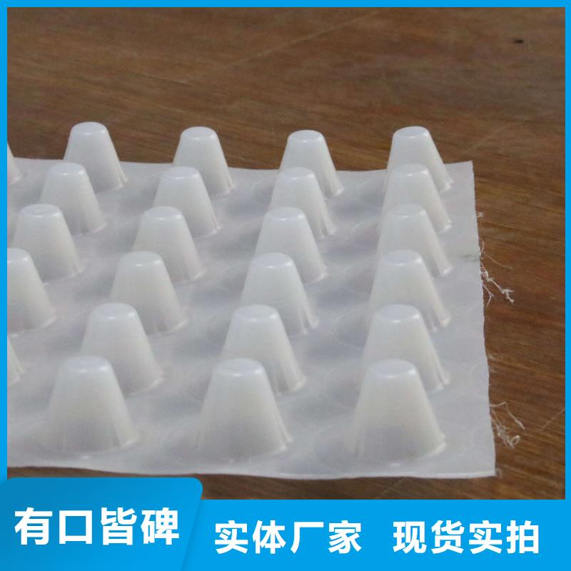 塑料排水板三維土工網(wǎng)墊來圖定制量大從優(yōu)