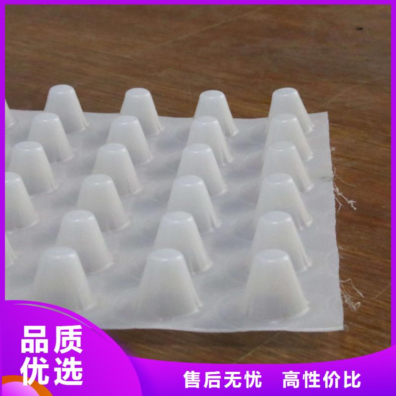 塑料排水板雙向土工格柵出貨快