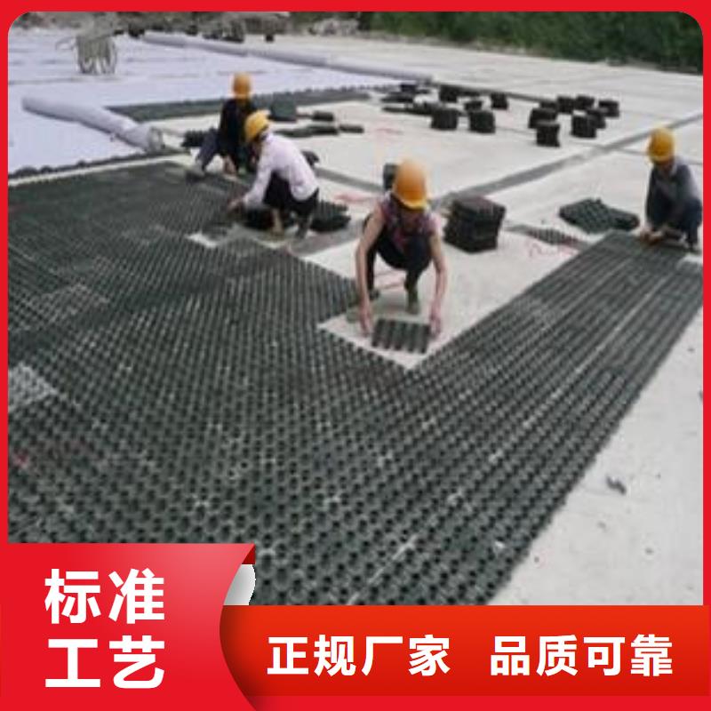 【塑料排水板】復合土工膜讓客戶買的放心