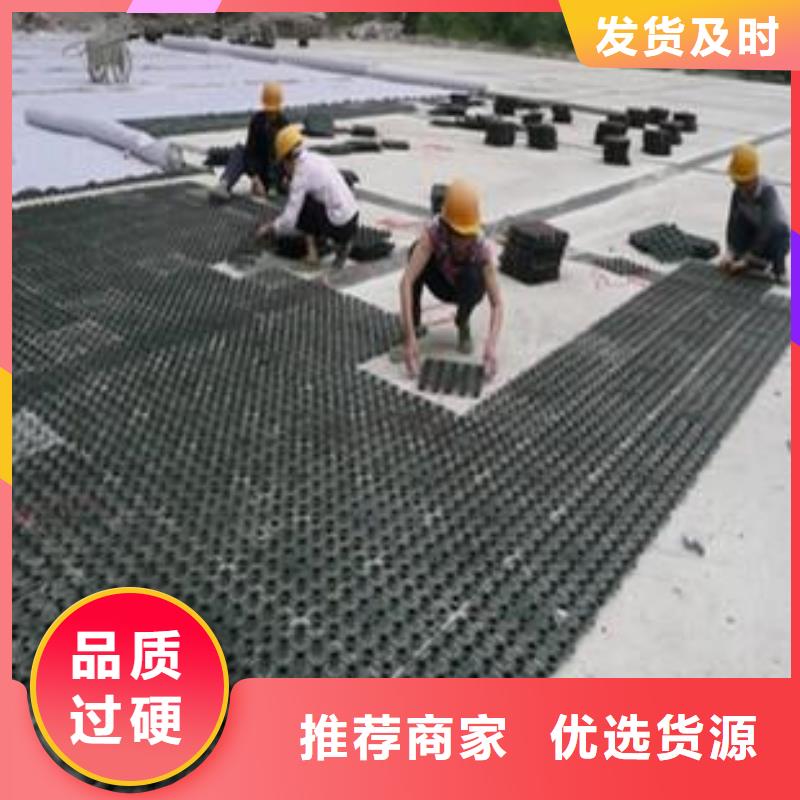 塑料排水板_【膨潤土防水毯】多種優勢放心選擇