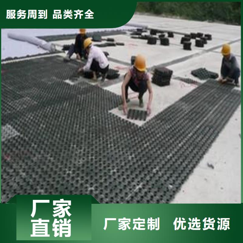 【塑料排水板】土工格室價格透明