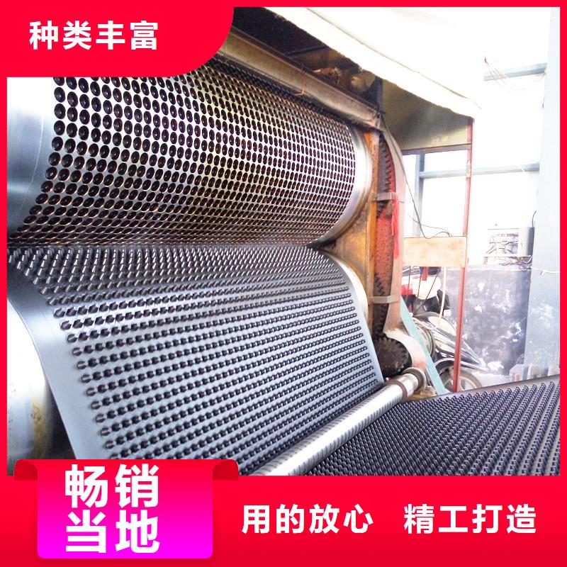 塑料排水板塑料土工格柵商家