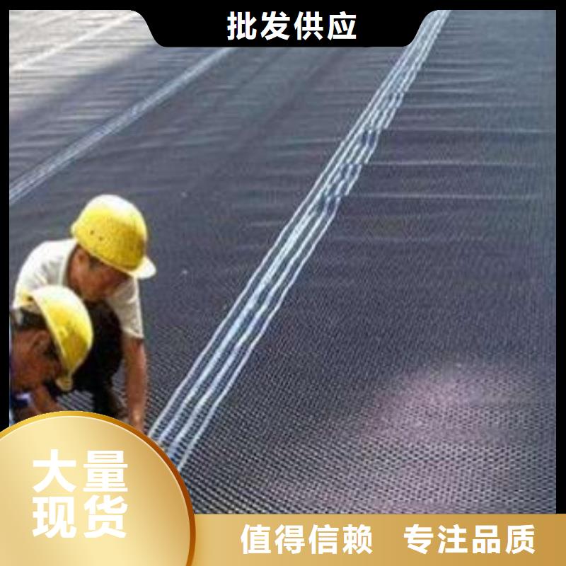 塑料排水板玻纖土工格柵大量現貨供應