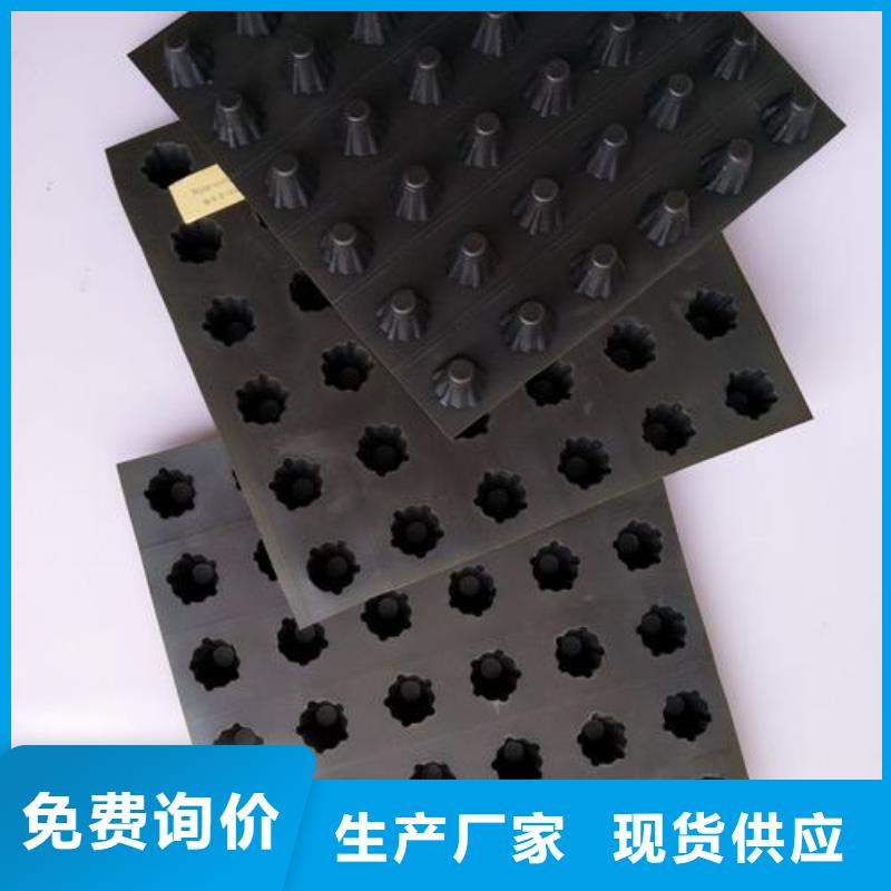 塑料排水板塑料土工格柵商家