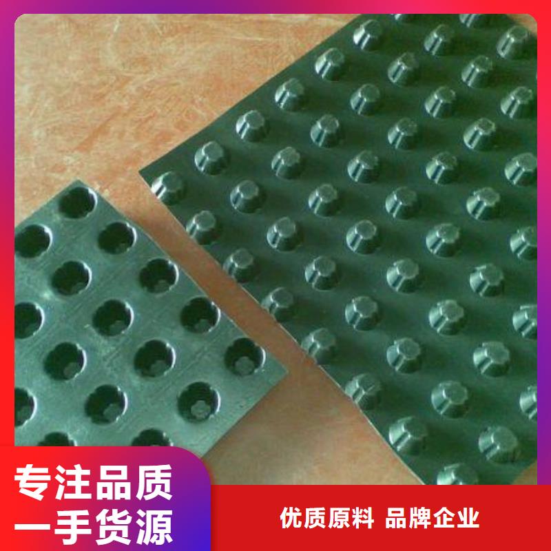 塑料排水板-單向塑料土工格柵價格實惠工廠直供