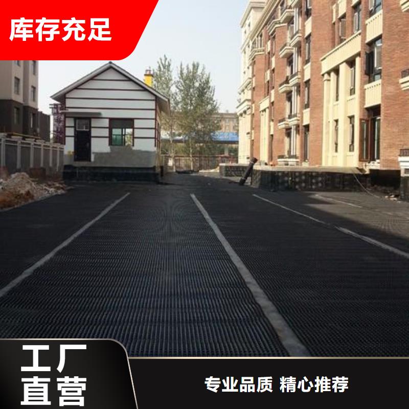 塑料排水板三維土工網(wǎng)墊來圖定制量大從優(yōu)