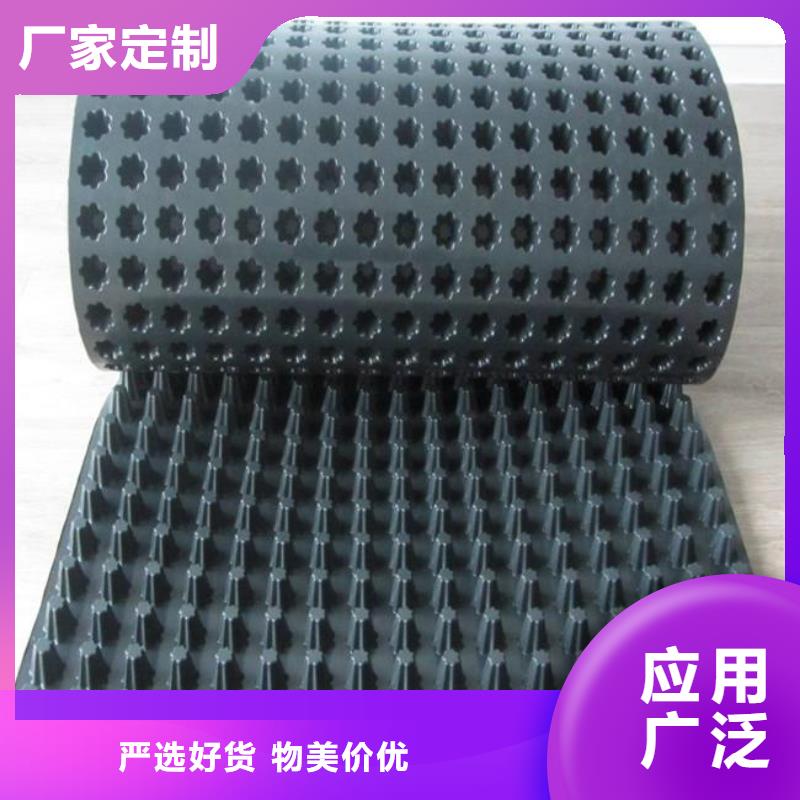 塑料排水板种类齐全