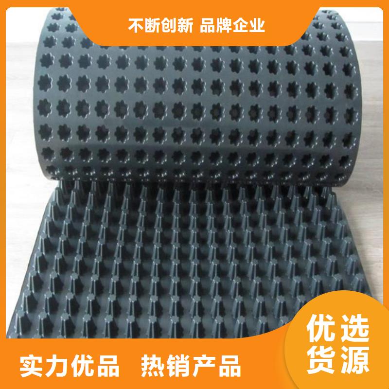 塑料排水板鋼塑土工格柵供應商