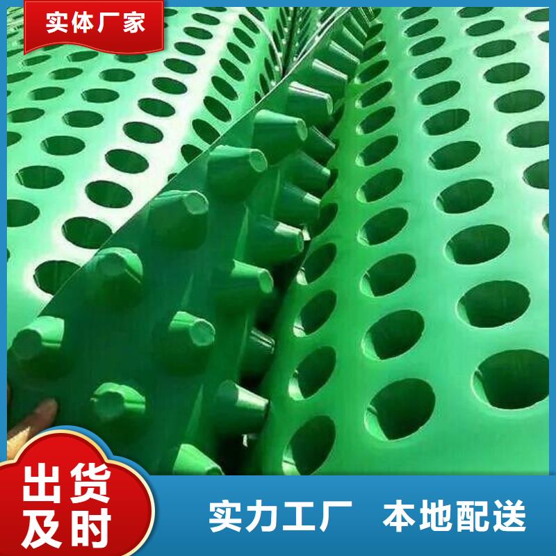 【塑料排水板土工格栅厂家货源】