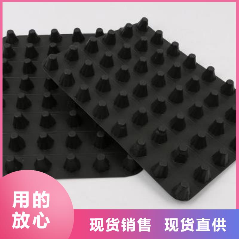 【塑料排水板土工格栅厂家货源】