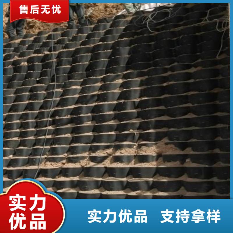 土工格室垃圾填埋場材料打造行業品質