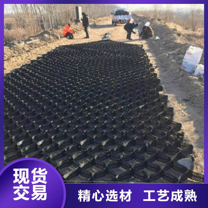 土工格室三維土工網(wǎng)墊工廠直營