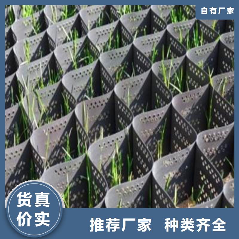 土工格室復(fù)合土工膜源廠直銷
