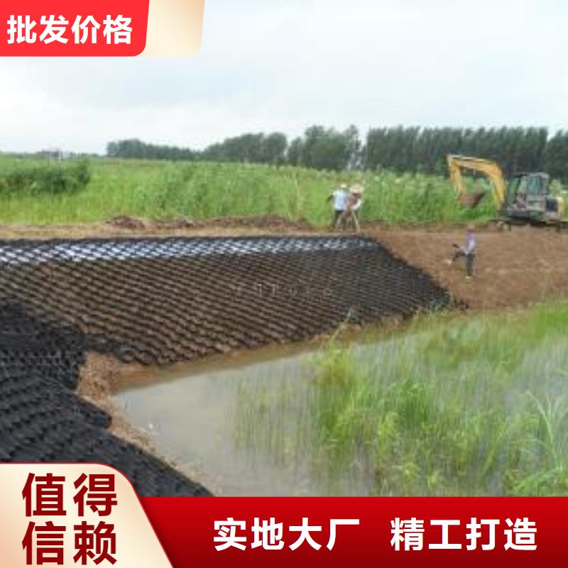土工格室【塑料土工格栅】价格低-服务范围包括平原|齐河|菏泽|东营|临沂|淄博|泰安|济南|滨州等