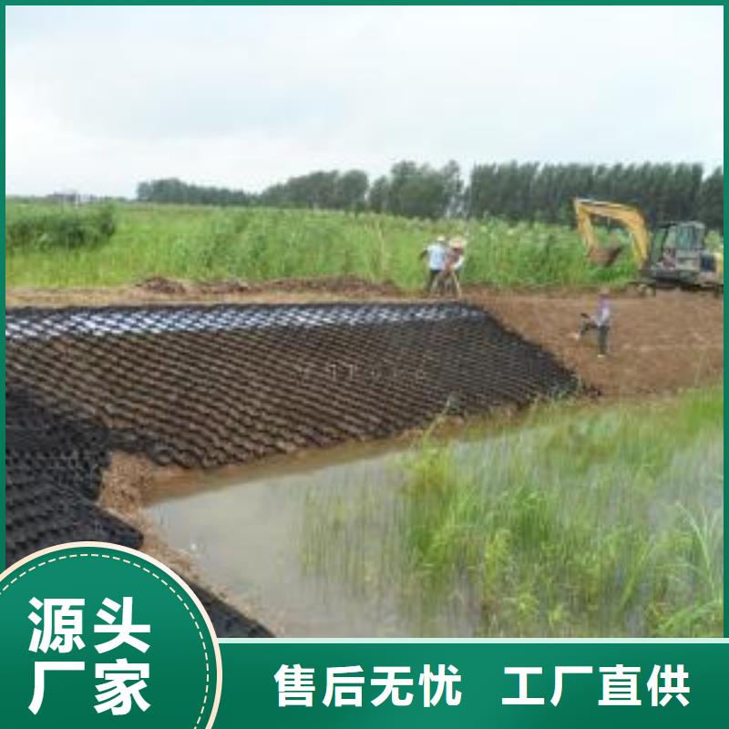 土工格室復(fù)合土工膜源廠直銷