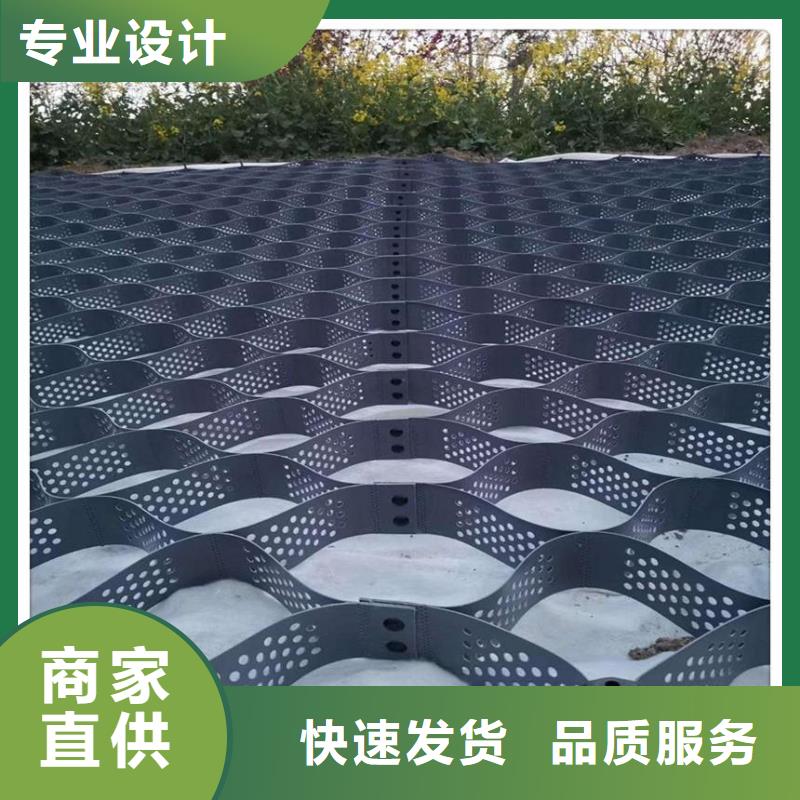 土工格室_鋼塑土工格柵供貨及時