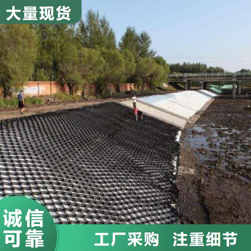 土工格室,【三維土工網墊】好品質售后無憂