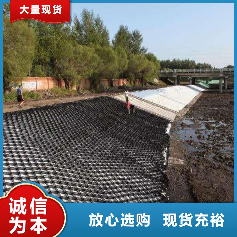 土工格室【【三維土工網墊】】出廠價