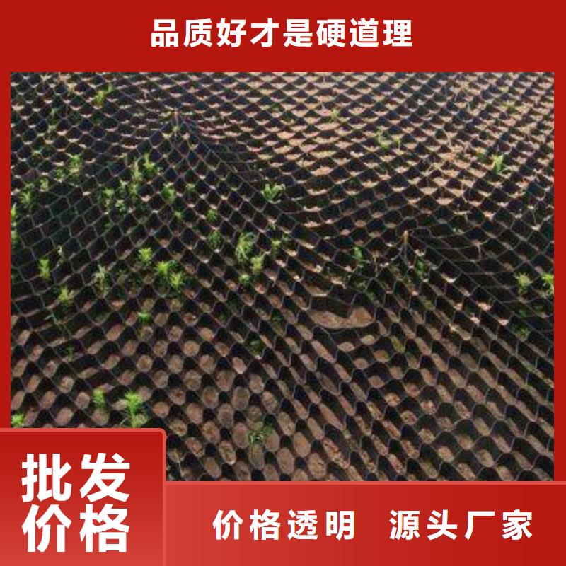 土工格室【塑料土工格栅】价格低-服务范围包括平原|齐河|菏泽|东营|临沂|淄博|泰安|济南|滨州等