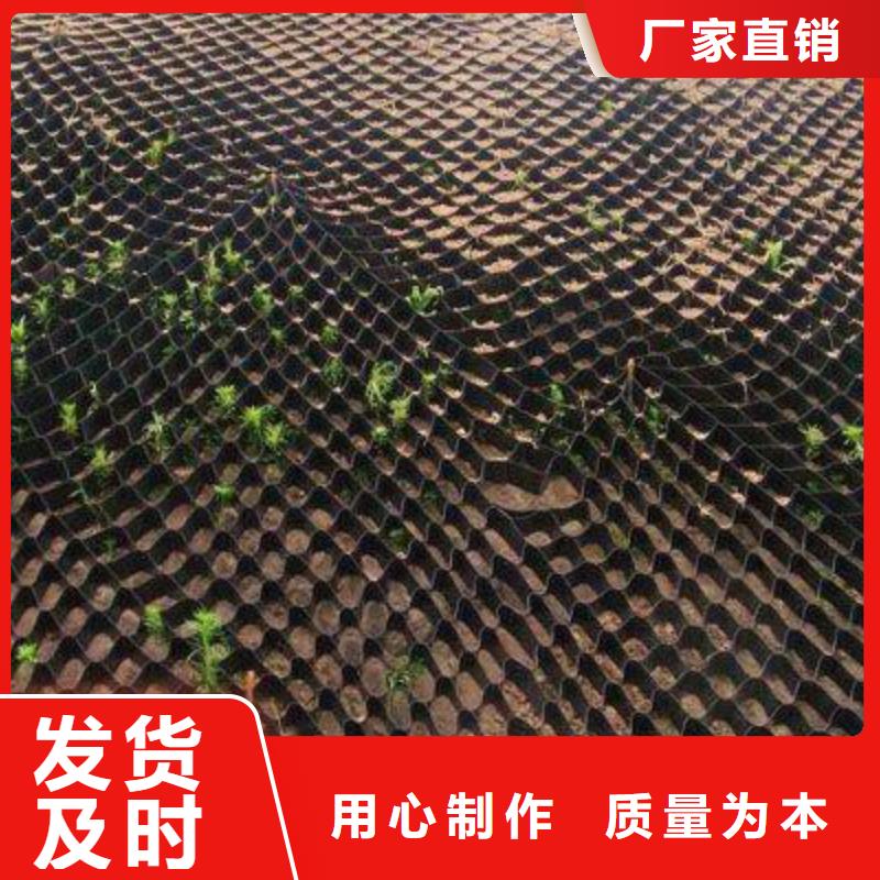 土工格室_HDPE土工膜值得信賴