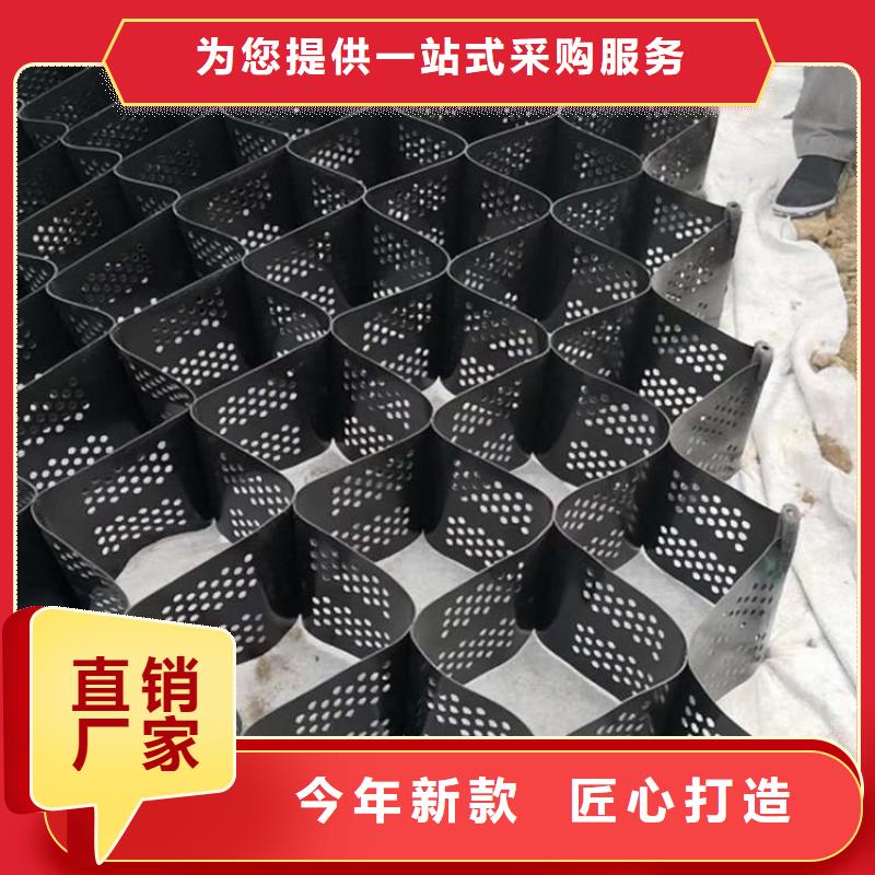 土工格室聚乙烯土工膜多年经验值得信赖
