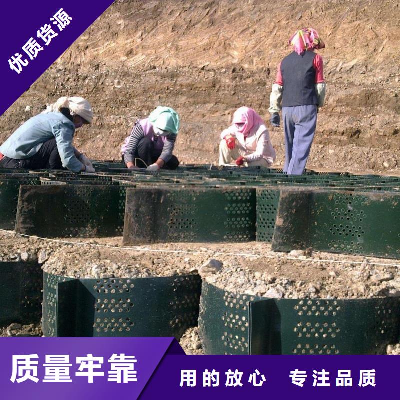 土工格室養護土工布優良工藝
