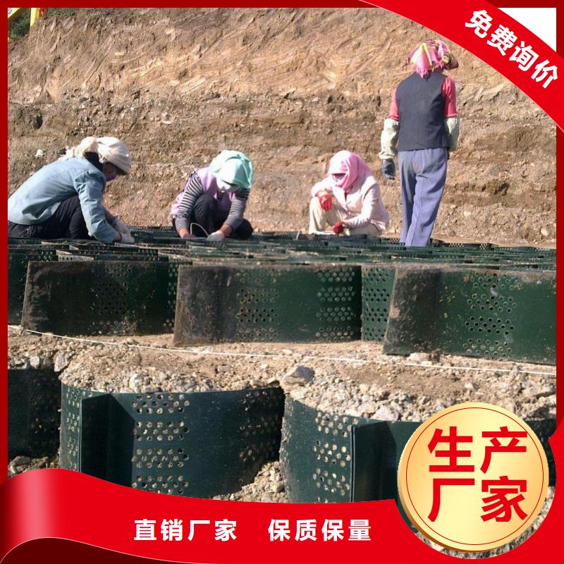 土工格室【塑料土工格栅】价格低-服务范围包括平原|齐河|菏泽|东营|临沂|淄博|泰安|济南|滨州等