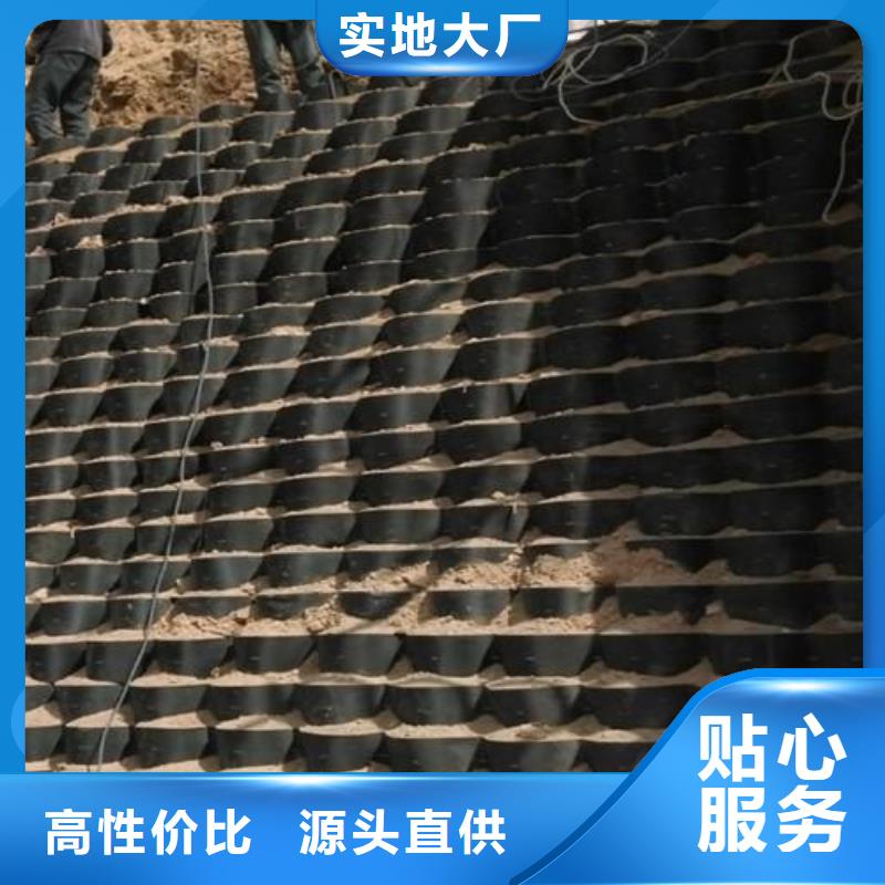 土工格室_HDPE土工膜值得信賴