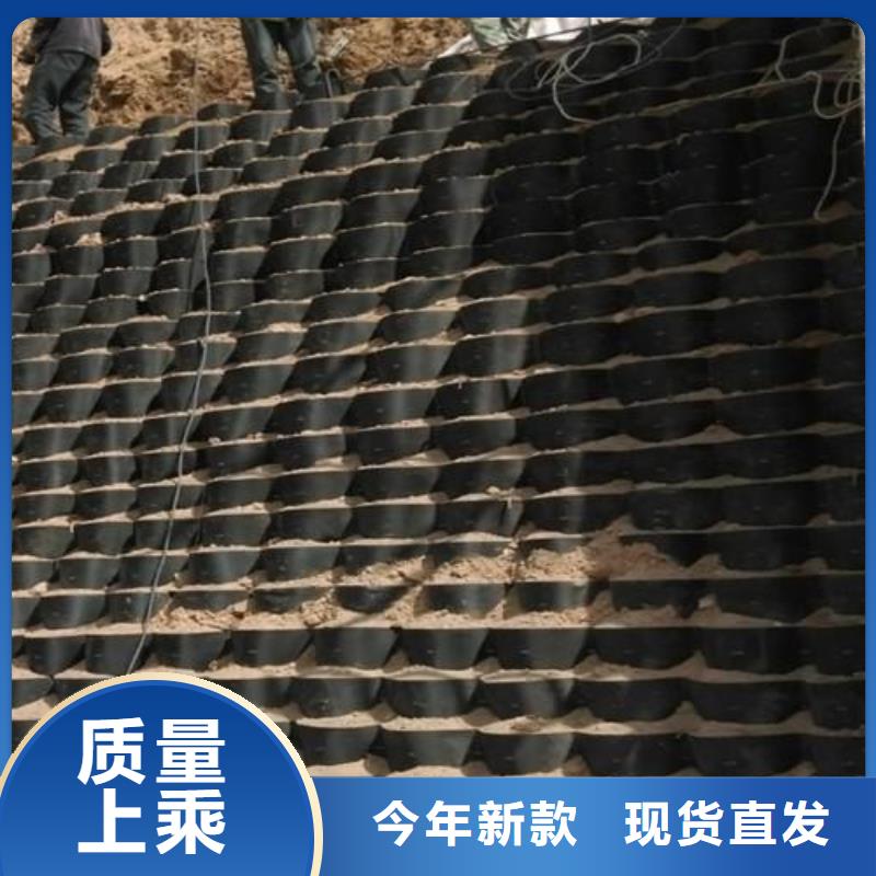 土工格室_HDPE土工膜值得信賴