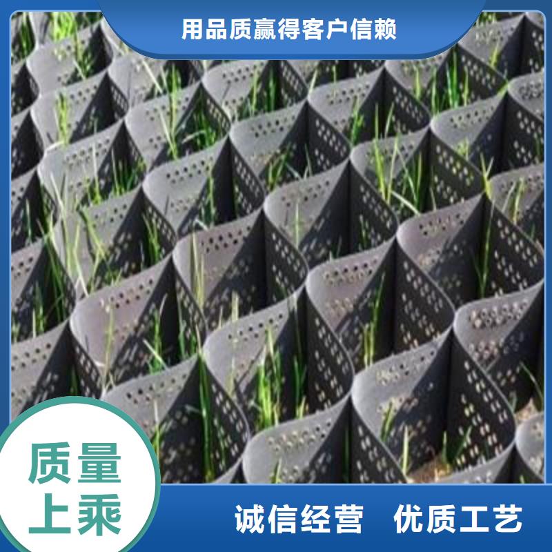 土工格室【塑料土工格栅】价格低-服务范围包括平原|齐河|菏泽|东营|临沂|淄博|泰安|济南|滨州等
