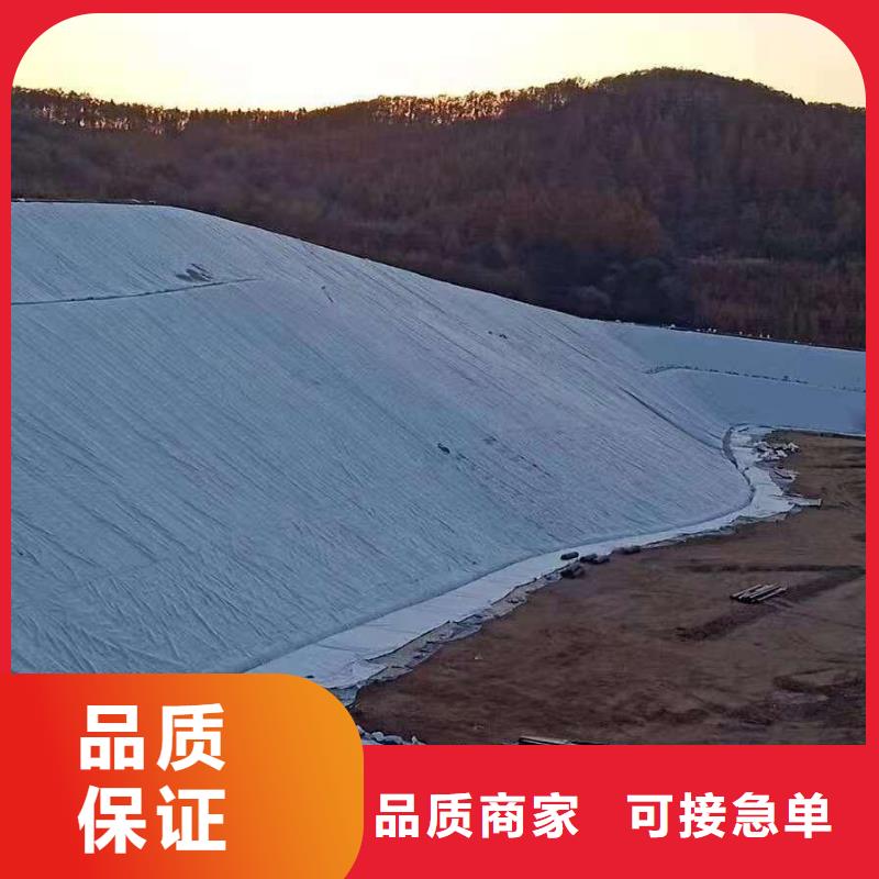 三維復合排水網鋼塑土工格柵工廠直供