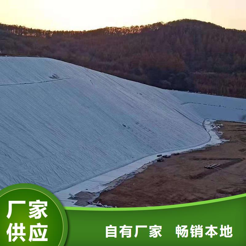 【三維復合排水網】-HDPE土工膜產品優勢特點