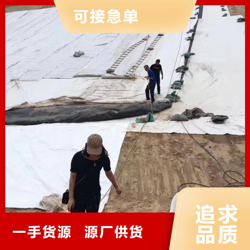 三維復(fù)合排水網(wǎng)雙向塑料土工格柵工廠直營
