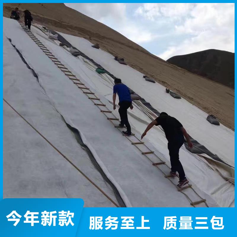 三維復(fù)合排水網(wǎng)養(yǎng)殖膜現(xiàn)貨交易