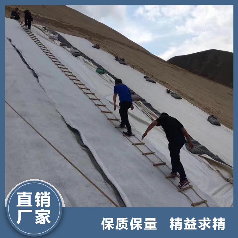 【三維復合排水網復合土工膜做工精細】