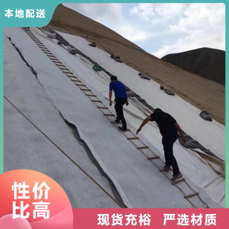 三維復合排水網鋼塑土工格柵品質服務誠信為本