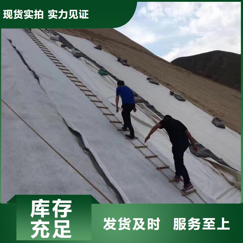 【三維復合排水網】土工格室現貨齊全售后無憂