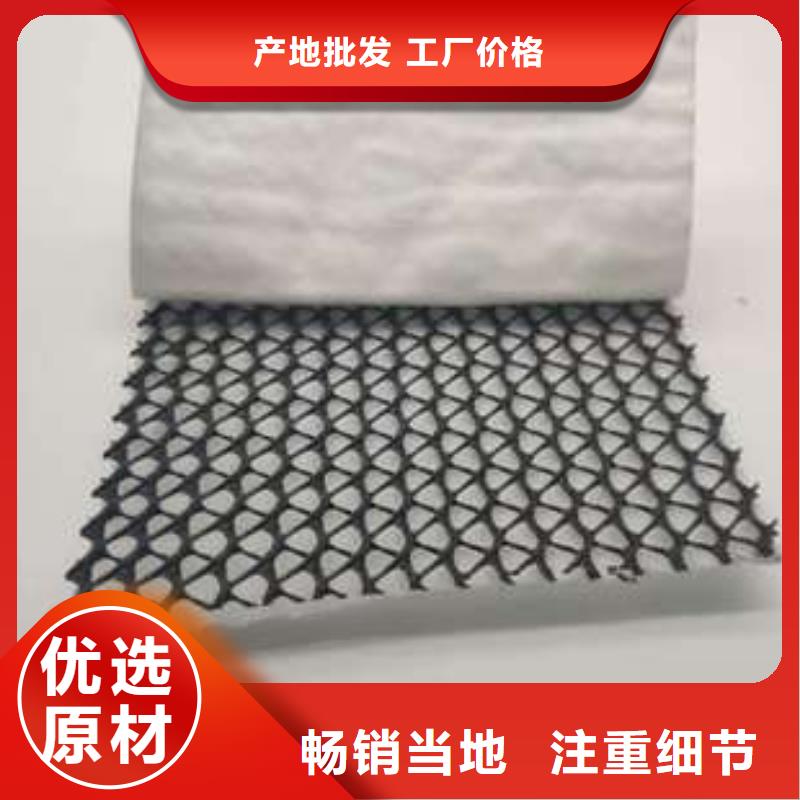 三維復合排水網-鋼塑土工格柵工廠直營