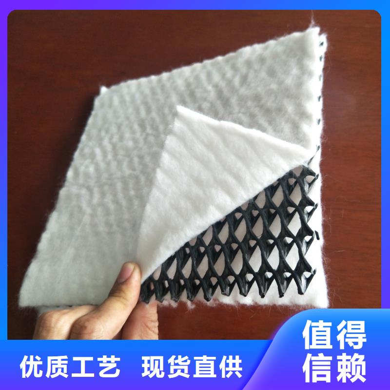 三維復(fù)合排水網(wǎng)鋼塑土工格柵支持定制