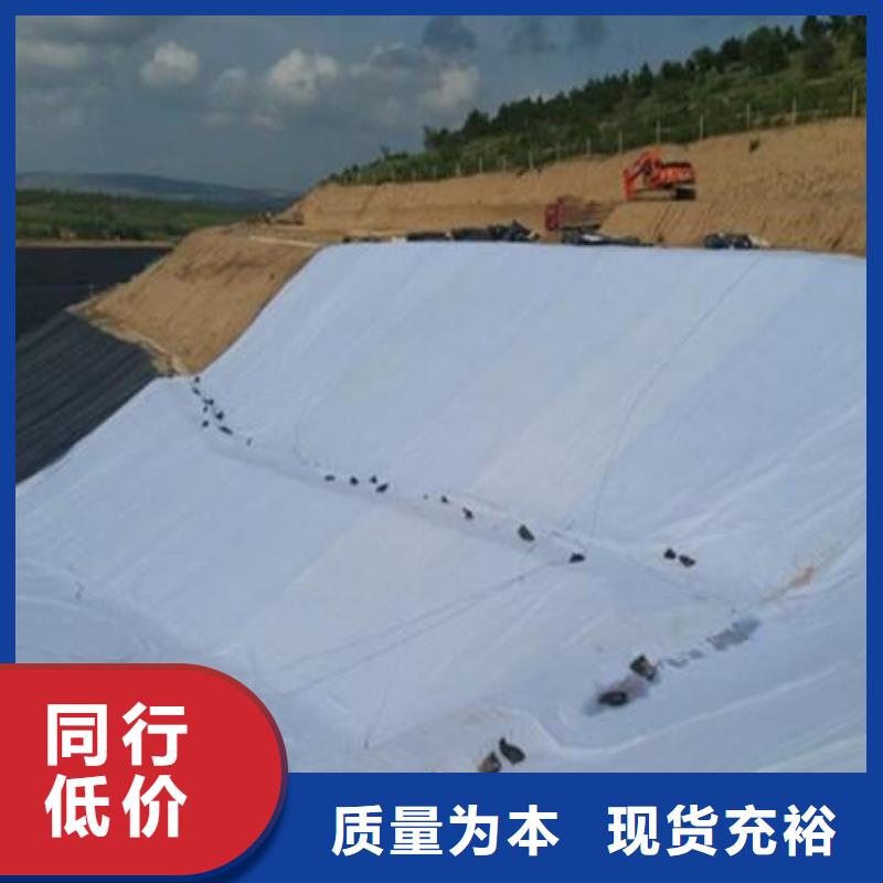 三維復合排水網鋼塑土工格柵品質服務誠信為本