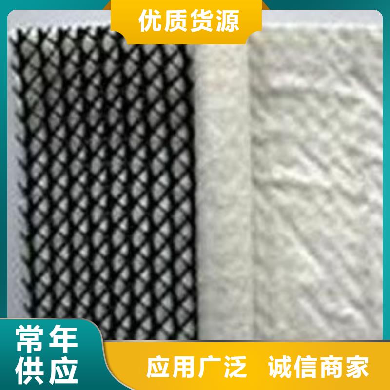 三維復(fù)合排水網(wǎng)雙向土工格柵貨源充足